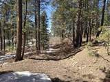Lot 9 Groves Drive - Photo 1