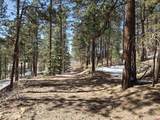 Lot 9 Groves Drive - Photo 2