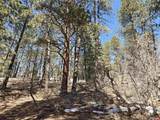 Lot 9 Groves Drive - Photo 8
