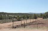 3605 Cr 307 - Photo 24