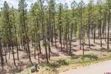 1091 Red Canyon Trail - Photo 6