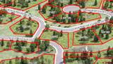 20 Avalanche Lily Dr. (Lot 130) - Photo 4