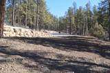 46 Avalanche Lily Dr. (Lot 131) - Photo 19
