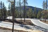 46 Avalanche Lily Dr. (Lot 131) - Photo 23