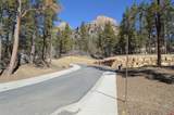108 Avalanche Lily Dr. (Lot 134) - Photo 28