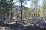 63 Snowdrop Ct. (Lot 139) - Photo 6