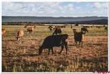 61067 Hwy-50 - Photo 12