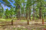 700 Echo Canyon Ranch Lane - Photo 27