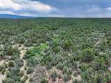 TBD Highway 84 - Photo 11