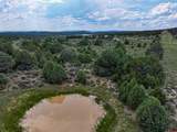 TBD Highway 84 - Photo 12