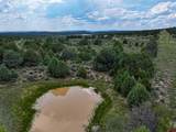 TBD Highway 84 - Photo 15