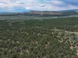 TBD Highway 84 - Photo 5