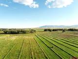 4690 Co Rd 5 W - Photo 17