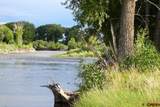 4690 Co Rd 5 W - Photo 19