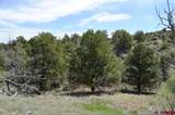 1479 La Posta Canyon Road - Photo 3