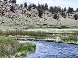 217 Co Rd 439 - Photo 11