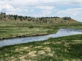 217 Co Rd 439 - Photo 4