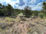 18973 Elk Reserve Road - Photo 20