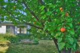 39594 Pitkin Road - Photo 35
