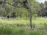 29501 P50 Road - Photo 41