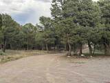 29501 P50 Road - Photo 42
