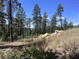 767 Red Canyon Trail - Photo 19