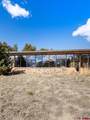 1137 Pleasant Point Drive - Photo 34