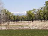 15004 County Road 20 - Photo 43