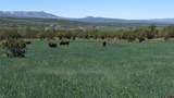 56001 Kk Road - Photo 37