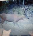 56001 Kk Road - Photo 38