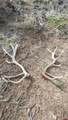 56001 Kk Road - Photo 39