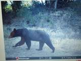56001 Kk Road - Photo 42