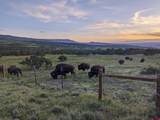 56001 Kk Road - Photo 43