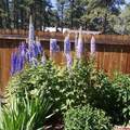 85 Dayspring Place - Photo 35