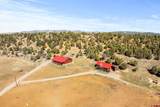 529 Rustic Road - Photo 3