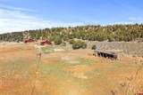 529 Rustic Road - Photo 41