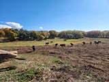 25859 Horse Creek Drive - Photo 11