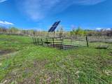 25859 Horse Creek Drive - Photo 20
