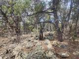 Lot 7 Wild Turkey Lane - Photo 13
