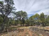 Lot 7 Wild Turkey Lane - Photo 8