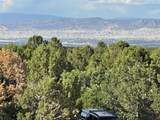 35 Gypsy Road - Photo 31