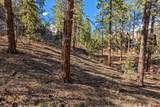 47 Ambush Canyon - Photo 14