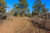 557 Glacier Cliff Drive - Photo 29