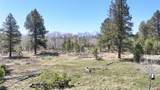56490 Ii Road - Photo 21