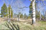 56490 Ii Road - Photo 31