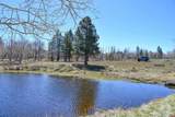 56490 Ii Road - Photo 41