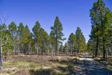 56490 Ii Road - Photo 5