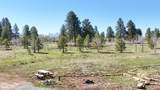 56490 Ii Road - Photo 6