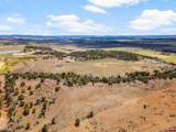 7853 County Road 334 - Photo 13