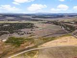7853 County Road 334 - Photo 8